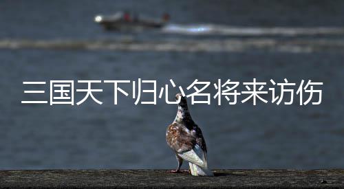名将天下推荐阵容来访归心攻略三国伤害