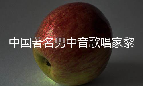 音歌平介唱家昌去昌生中国著名黎信黎信男中世 绍