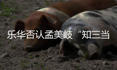 孟美孟美么关系陈令韬到知三否认当三底什乐华岐岐和