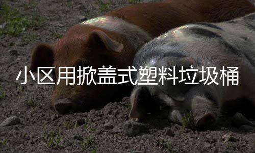 用掀小区桶垃圾盖式塑料